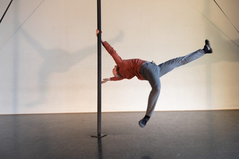 Abgesagt: Chinese Pole – Winner Workshop mit Johannes